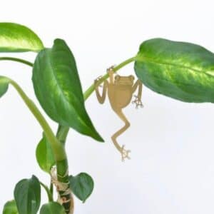 Brass Plant Animal Decoration – Tree frog