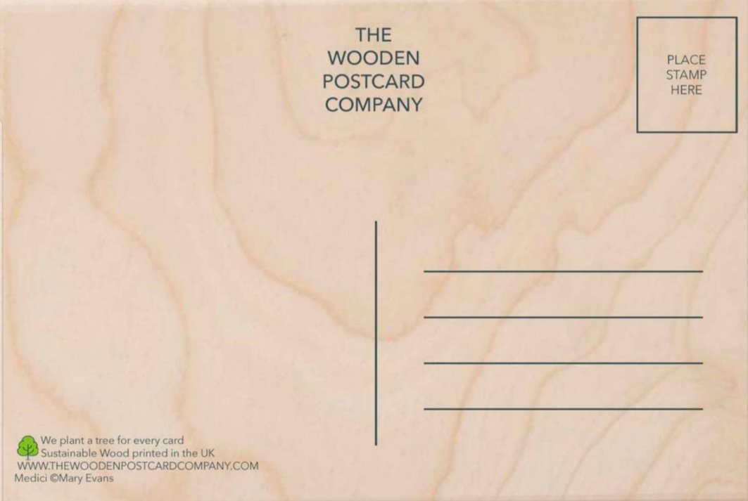 Parachuting Birthday wooden postcard - Image 2