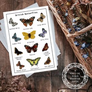British Butterflies Seed Card – Wildflowers For Butterflies