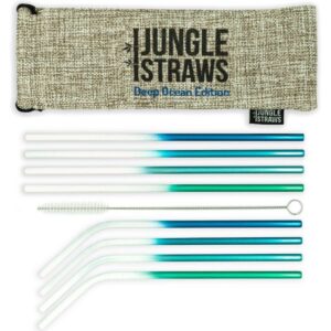 Deep Ocean Reusable Stainless Steel Straws – Set of 8
