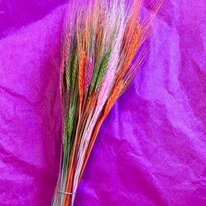 Dried Bearded Wheat – 30 stems