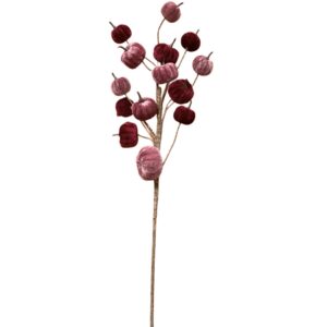 Velvet Pumpkin Stem