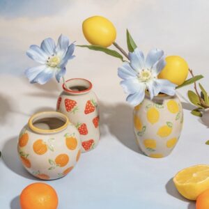 Set of 3 Sass & Belle mini ceramic vases with fruit stamped designs, decorative bud vases for small flowers, succulents or home décor styling, compact colourful vase set 6 x 9.5 x 6 cm.