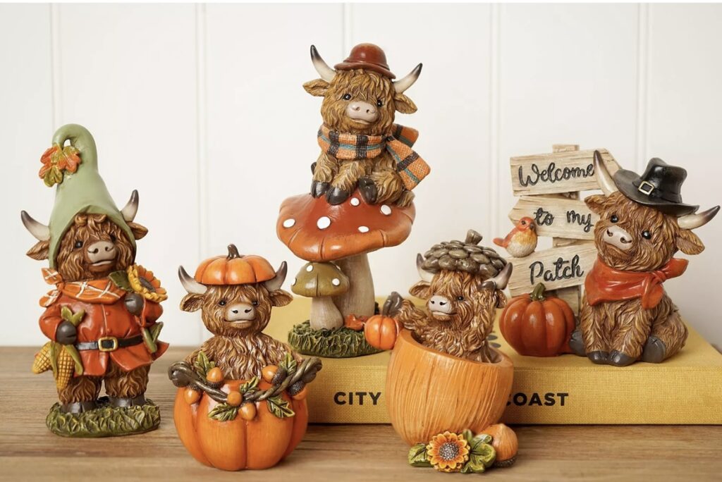 IMG_0204-e1786513796741-1024x684 Transform Your Space with Our Home Decor Store